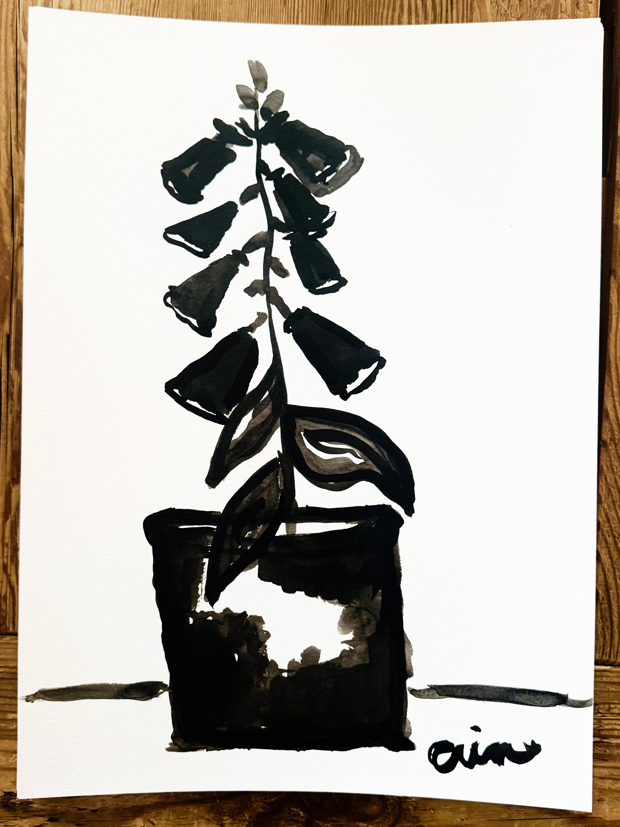 Original Erin Flett Painting - Foxglove 4
