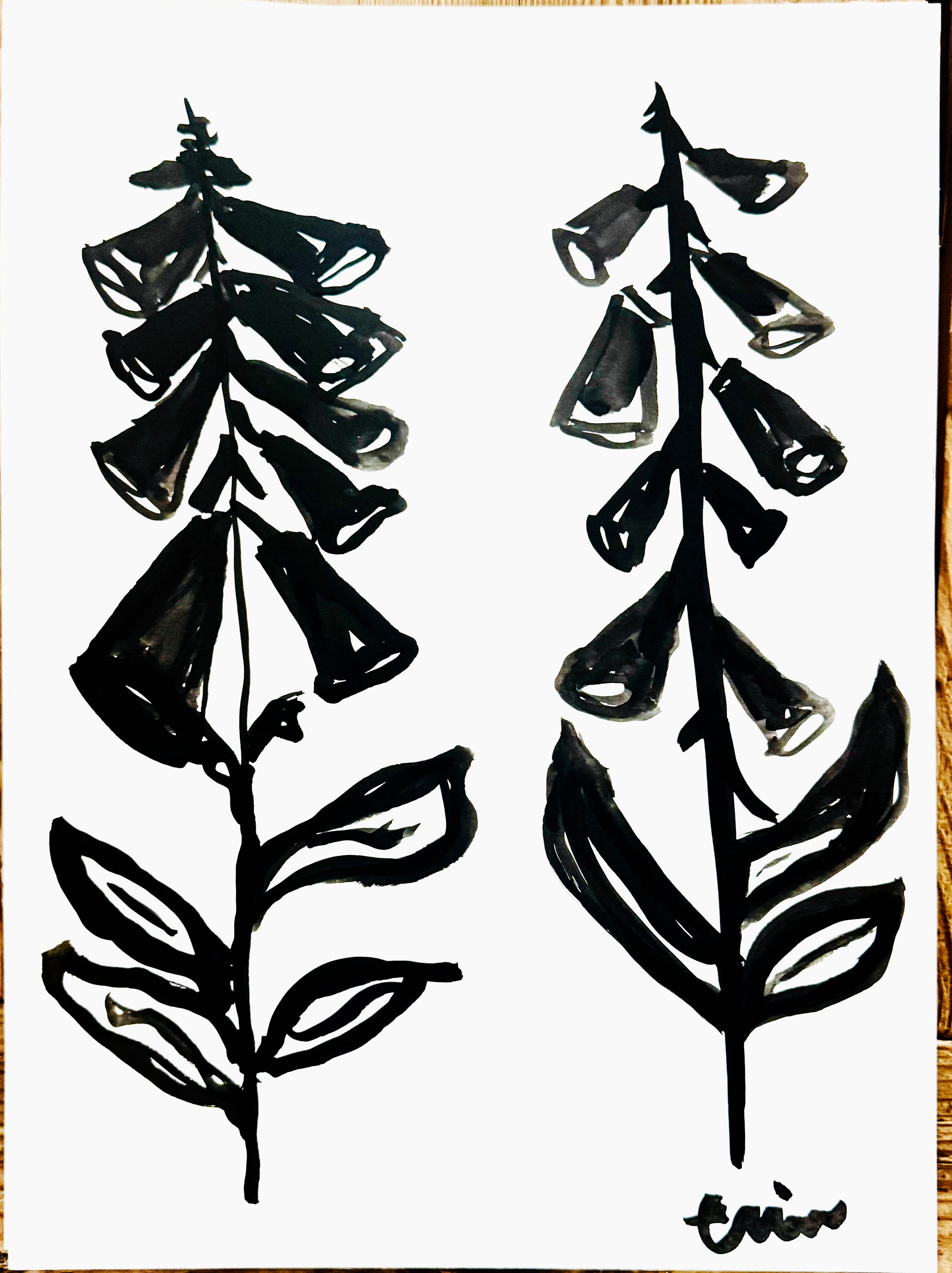 Original Erin Flett Painting - Foxglove 4B