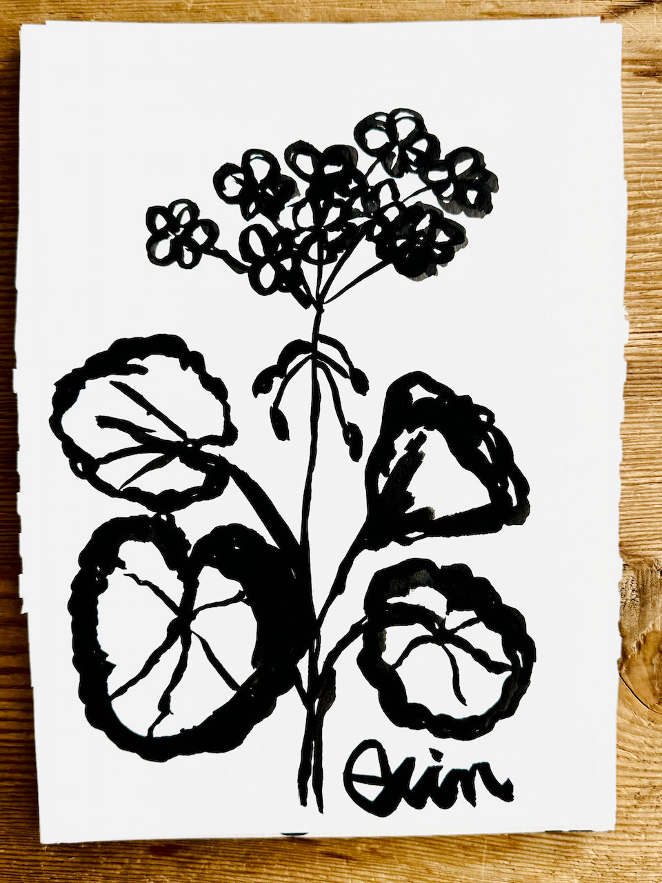 Original Erin Flett Painting - GERANIUM