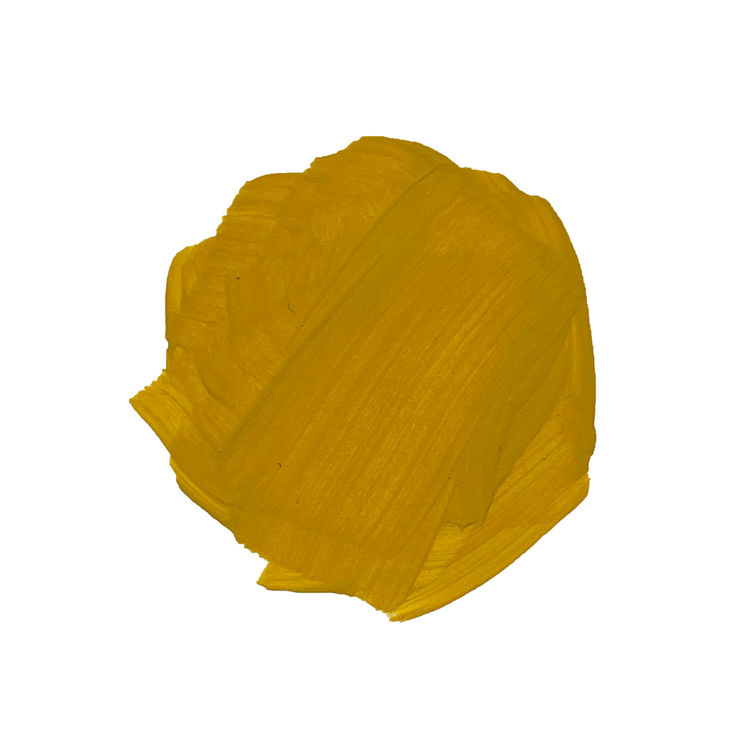 Turmeric – erin flett