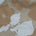 20x20 Natural Linen Pillow Cover in Anita Sand + White